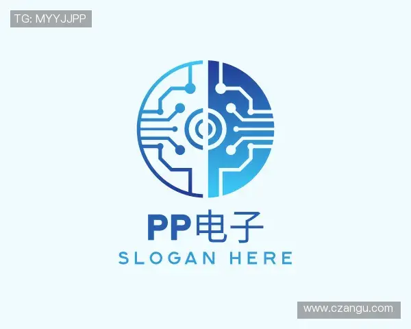 发现PP电子aPP下载